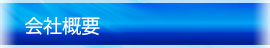 ЊTv